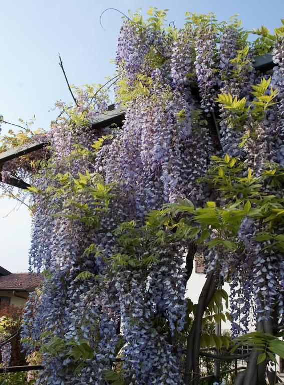 Angelo Del Lotto Bed & Breakfast Ponteranica Dış mekan fotoğraf